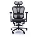 Ergonomic High-Back Mesh Office Chair with Adjustable Headrest and Armrests