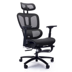Ergonomic High-Back Mesh Office Chair with Adjustable Headrest and Armrests