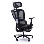 Ergonomic High-Back Mesh Office Chair with Adjustable Headrest and Armrests