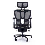 Ergonomic High-Back Mesh Office Chair with Adjustable Headrest and Armrests