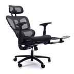 Ergonomic High-Back Mesh Office Chair with Adjustable Headrest and Armrests